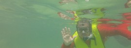 Justin Levy, who recently graduated with his bachelor’s degree in geology, waves to the camera while snorkeling off the coast of San Salvador Island in the Bahamas while on a nine-day field study trip.